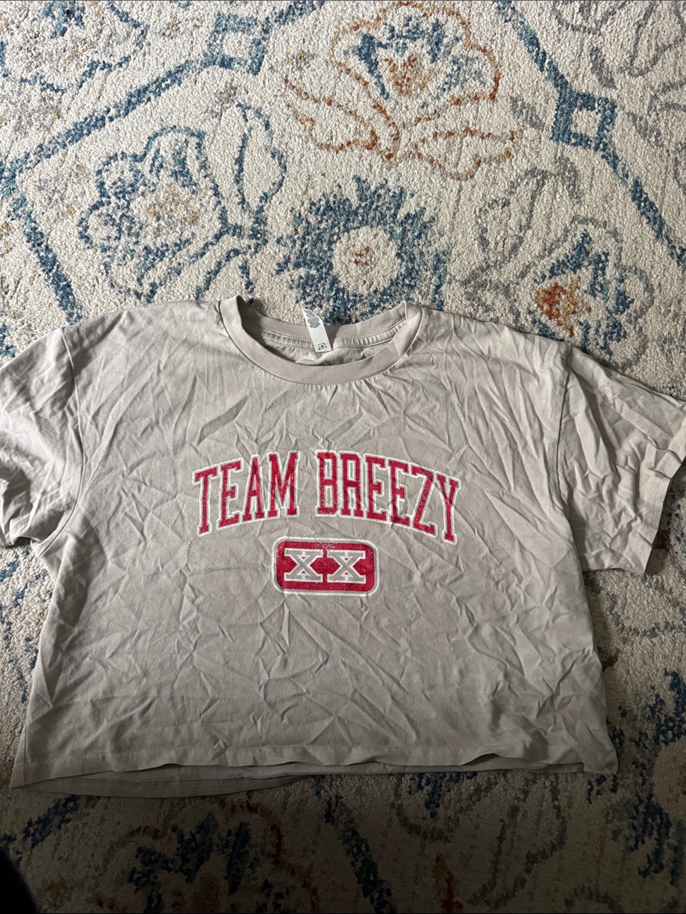TEAM BREEZY Chris Brown cropped t shirt